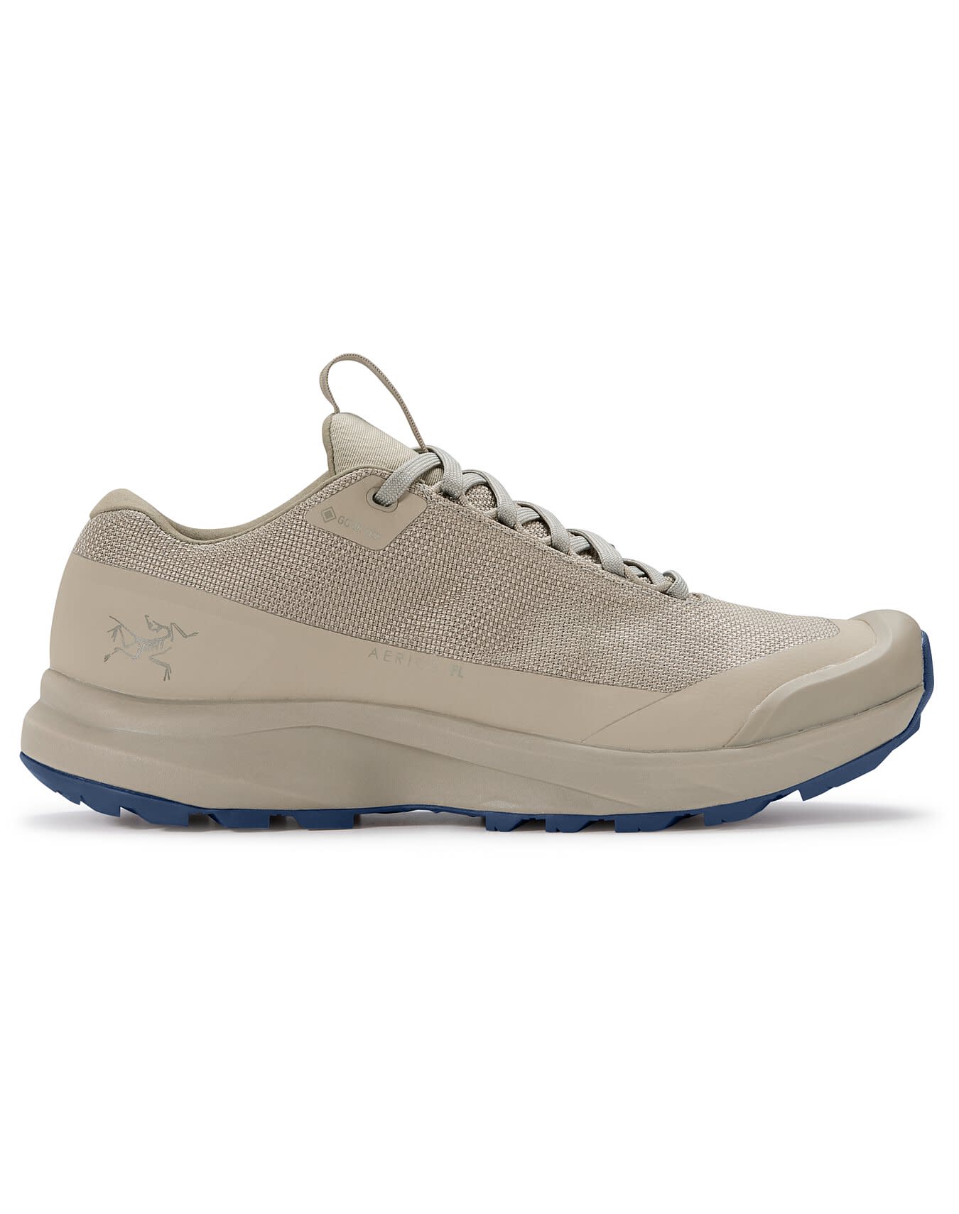 Aerios FL 2 GTX Shoe